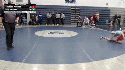 67 lbs Champ. Round 2 - Cole Butler, All In Wrestling Academy vs Brooks Pingree, All In Wrestling Academy