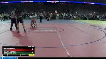 D3-140 lbs Quarterfinal - Peter Pena, Milan vs Mark Adams, Saginaw Swan Valley