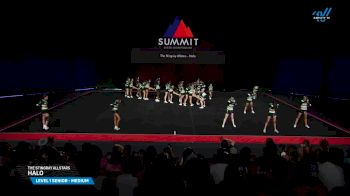 The Stingray Allstars - Halo [2025 L1 Senior - Medium Prelims] 2025 The Summit