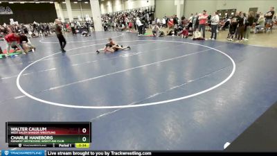 78 lbs Champ. Round 3 - Walter Caulum, West Salem Bangor Wrestling vs Charlie Haneborg, Midwest Destroyers Wrestling Club