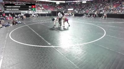 D1-138 lbs Quarterfinal - Amadi Cameron, West Allis Central vs Devin Bobzien, Milton