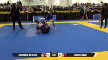 Dominic J. Manno vs David Mateus Dos Santos 2025 World IBJJF Jiu-Jitsu No-Gi Championship