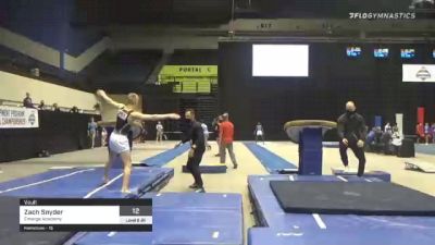 Zach Snyder - Vault, Emerge Academy - 2021 USA Gymnastics Development Program National Championships
