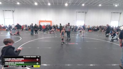 75 lbs Cons. Round 2 - Vincenzo Solinger, Carolina Reapers vs Lucan Stellwagen, Eastside Youth Wrestling