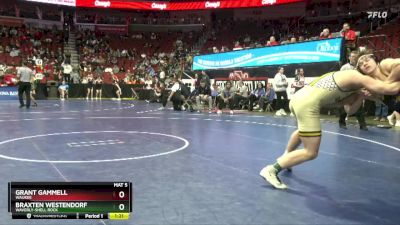 3A-175 lbs Cons. Round 5 - Grant Gammell, Waukee vs Braxten Westendorf, Waverly-Shell Rock