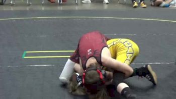 85 lbs Quarterfinal - Benjamin Williamson, Mattawan Wrestling Club vs Jackson Farrell, West Michigan Pursuit