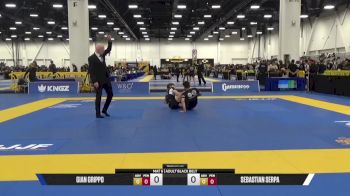 SEBASTIAN SERPA vs GIANNI GRIPPO 2025 World IBJJF Jiu-Jitsu No-Gi Championship