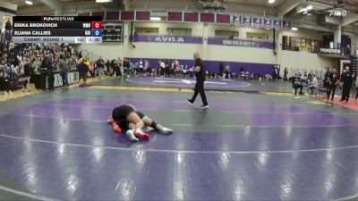 160 lbs Champ. Round 1 - Erika Brokovich, William Woods vs Eliana Callies, Upper Iowa