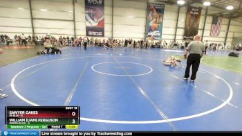 60 lbs Rd# 8- 12:30pm Saturday Final Pool - Sawyer Oakes, PA Blue vs William (Liam) Ferguson, Minion Black