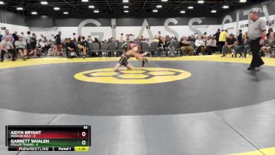 85 lbs Round 5 (6 Team) - Garrett Whalen, Steller Trained vs Aidyn Bryant, Missouri Gold