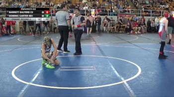 100 lbs Champ. Round 2 - Barrett Salyers C2, Westfall vs Dominic Carter NE1, Lake Catholic