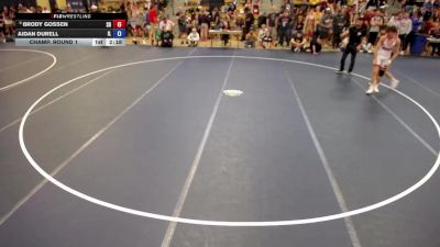 126 lbs Champ. Round 1 - Brody Gossen, SD vs Aidan Durell, IL