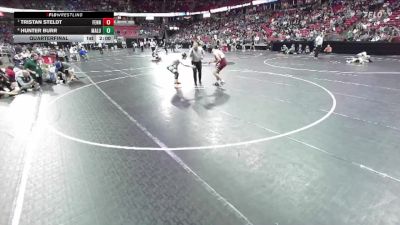 D2-165 lbs Quarterfinal - Tristan Steldt, Fennimore vs Hunter Burr, Martin Luther