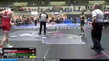 113 lbs Finals (8 Team) - Ayden Golden, North Scott vs Dominic Marre, Glenbard North