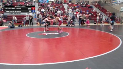 138 lbs Cons. Round 2 - Matthew Hewett, Sublime Wrestling Academy vs Nathaniel Anaya, 208 Badgers Wrestling Club