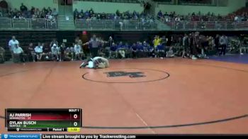 145 lbs Round 1 (3 Team) - AJ Parrish, Bennington vs Dylan Busch, Norfolk