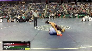 3A 175 lbs Cons. Round 1 - Gaige Watson, West Henderson vs Elijah Ellison, Franklinton