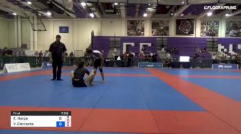 Erin Harpe vs Vedha Clemente Toscano 2018 Pan Jiu-Jitsu IBJJF No Gi Championship