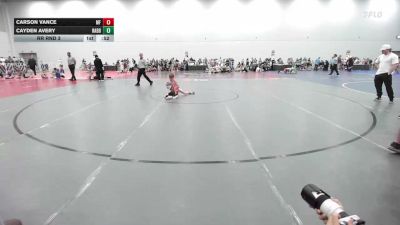 65 lbs Rr Rnd 3 - Carson Vance, MF Purge Elite - EL vs Cayden Avery, Rabbit Wrestling Club - EL