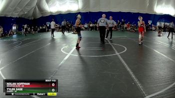 105 lbs Round 3 - Tyler Sage, Linden vs Nolan Hoffman, Bellevue Elite