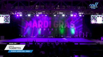 Fierce - Tigerettes [2025 L6 Limited Coed - XSmall Day 1] 2025 Mardi Gras Grand Nationals