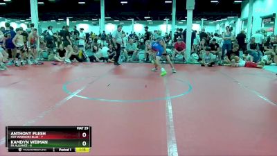 84 lbs Round 5 (6 Team) - Anthony Plesh, Mat Warriors Blue vs Kamdyn Weiman, PA Alliance