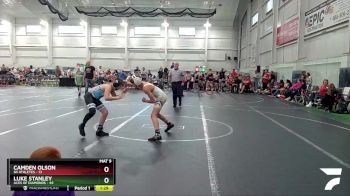 96 lbs Round 6 (8 Team) - Luke Stanley, ACES Of Diamonds vs Camden Olson, 84 Athletes