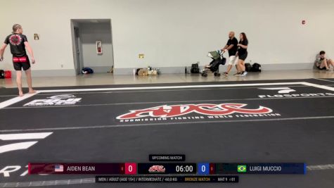 Aiden Bean vs Luigi Muccio 2024 ADCC Miami Open