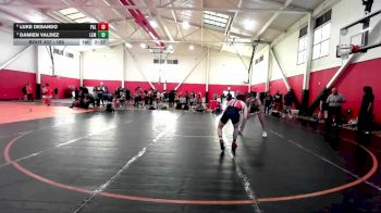 165 lbs Quarterfinal - Damien Valdez, Lemoore College vs Luke Desando, Palomar College