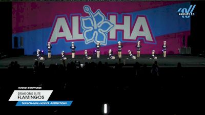 Dragons Elite - Flamingos [2025 L1 Mini - Novice - Restrictions 03/09/2025] 2025 Aloha Indy Showdown