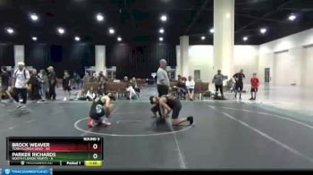 130 lbs Round 5 (6 Team) - Brock Weaver, Team Florida Gold vs Parker Richards, North Florida Misfits