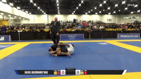 James Vinston Nival vs Rafael Hildebrandt Dias 2025 World IBJJF Jiu-Jitsu No-Gi Championship