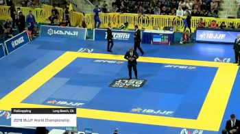 FELIPE PENA vs MATHEUS DINIZ 2019 World Jiu-Jitsu IBJJF Championship