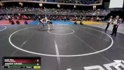 6A 215 lbs Quarterfinal - Alec Rill, Dripping Springs vs Andrew Jurasek, Keller