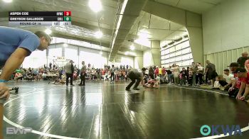 52 lbs Round Of 16 - Aspen Coe, Hilldale Youth Wrestling Club vs Greyson Gallegos, Collinsville Cardinal Youth Wrestling