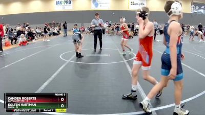 84 lbs Round 3 - Kolten Hartman, POWA vs Camden Roberts, Capital City WC