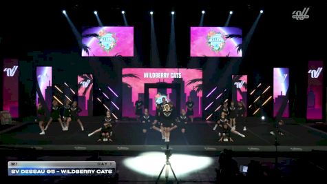 SV Dessau 05 - Wildberry Cats [2026 M1 Day 1] 2026 Summer All Level Championship East