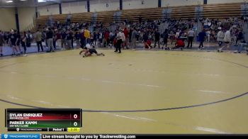 141 lbs Quarterfinal - Dylan Enriquez, Rochester-CTC vs Parker Kamm, UW-Eau Claire