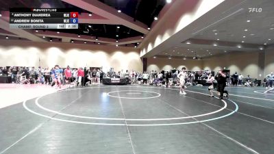 132 lbs Champ. Round 3 - Anthony DiAndrea, New Jersey vs Andrew Bonita, New Jersey