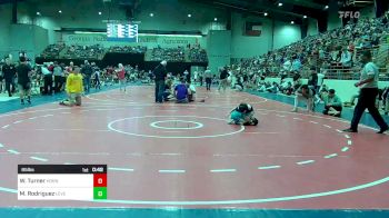 65 lbs Rr Rnd 3 - William Pate Turner, Hornet Wrestling Club vs Madelyn Rodriguez, Level Up Wrestling Center