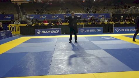 Katerina Dmitrievna Starodub vs Adrianna Marie Sciacca 2026 Pan Jiu Jitsu IBJJF Championship