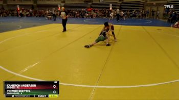 88 lbs Quarterfinals (8 Team) - Cameron Anderson, Wabasso vs Trevor Knettel, Holdingford