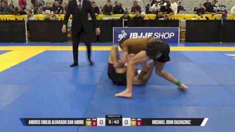 Michael John Salvacruz vs Andres Emilio Alvarado San Andre 2025 World IBJJF Jiu-Jitsu No-Gi Championship