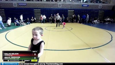 43 lbs Round 5 - Brock Freemyer, Emmett Wrestling Club vs Dallas Nelson, Homedale WC