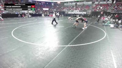 D1-175 lbs Champ. Round 1 - Jacob Anderson, Menomonie vs Ryland Schneider, Oshkosh West