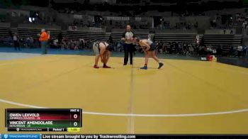 215 lbs Quarterfinals (8 Team) - Vincent Amendolare, Hutchinson vs Owen Lexvold, Zumbrota-Mazeppa