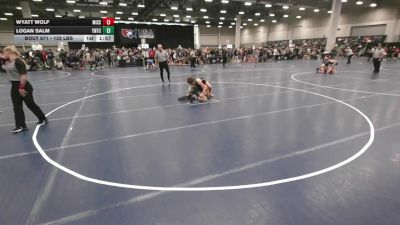 132 lbs Champ. Rd Of 128 - Wyatt Wolf, Missouri vs Logan Salm, Team Nazar Training Center