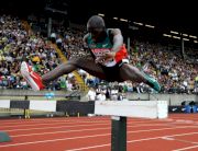 Men's 3000m Steeplechase Updates--2012 London Olympic Games