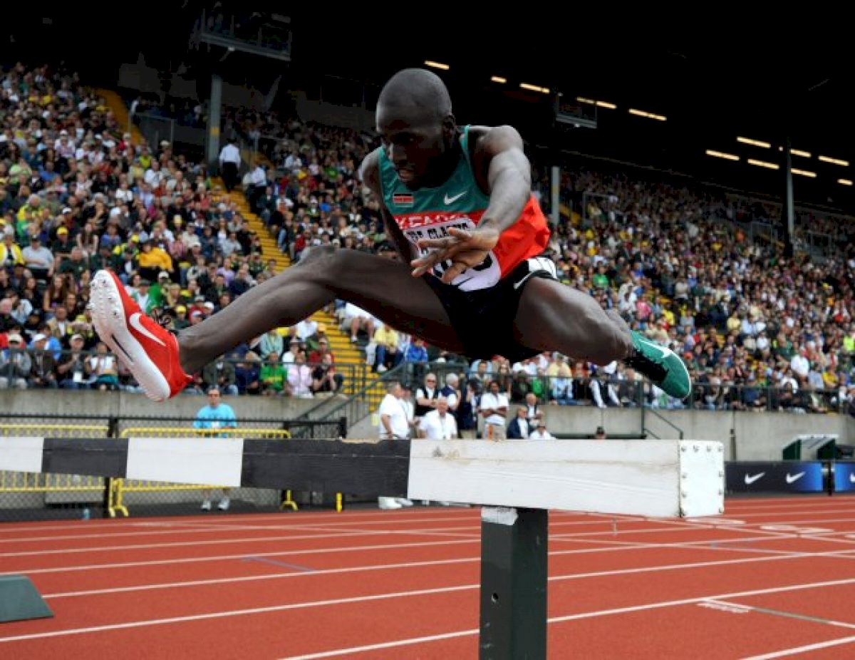 Men's 3000m Steeplechase Updates--2012 London Olympic Games