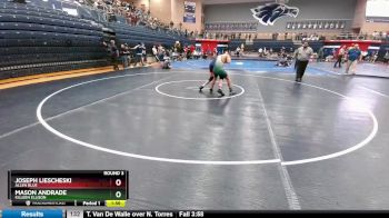 138 lbs Round 3 - Joseph Liescheski, Allen Blue vs Mason Andrade, Killeen Ellison